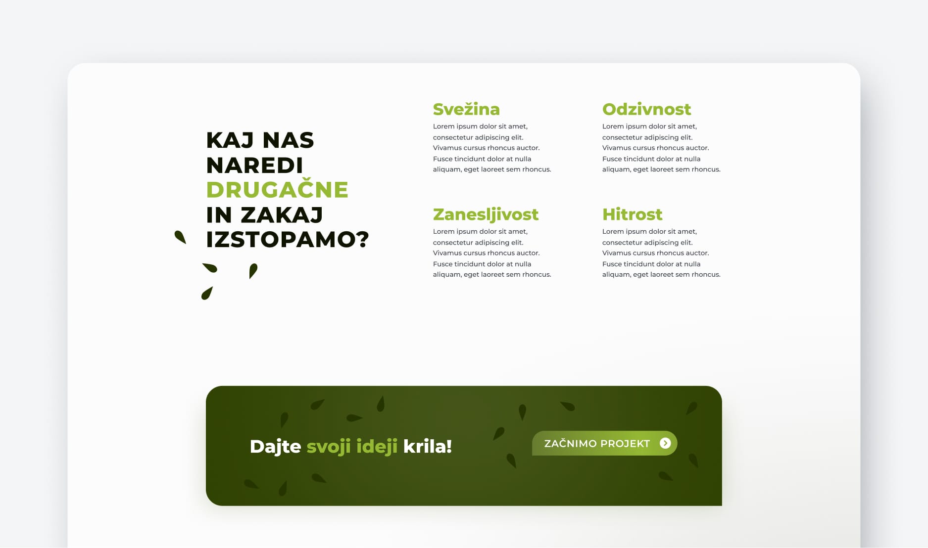 Portfolio Kiwwwi